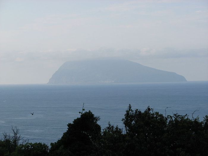 Wikimedia Commons